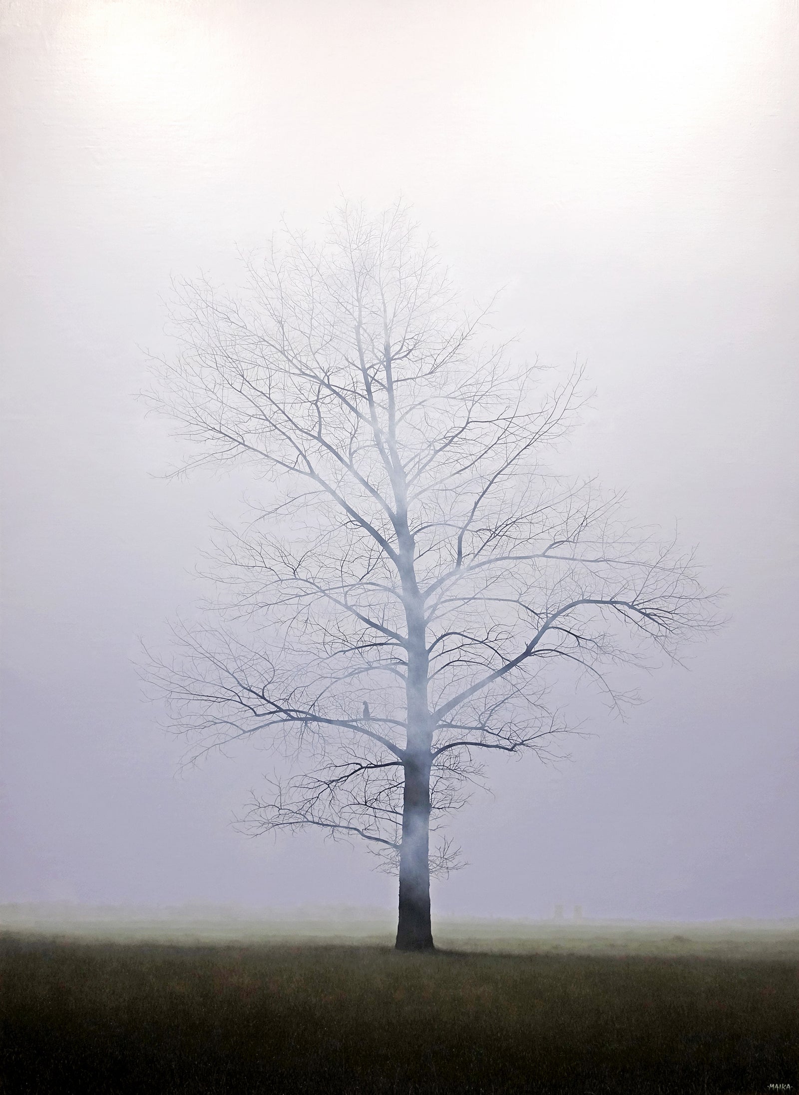 EL ARBOL DEL REY