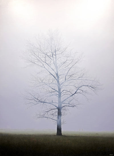 EL ARBOL DEL REY — 1