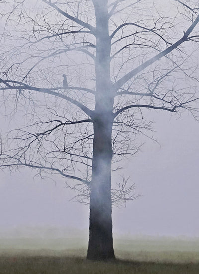 EL ARBOL DEL REY — 3