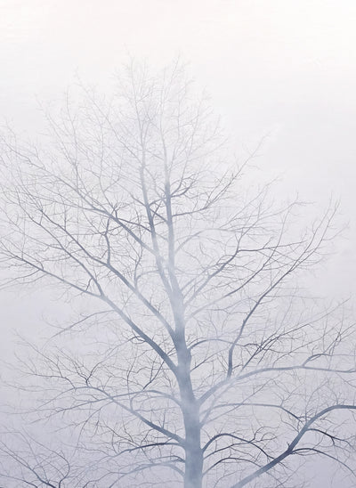 EL ARBOL DEL REY — 4